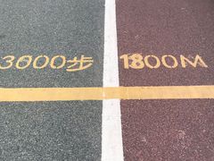 -野狸岛