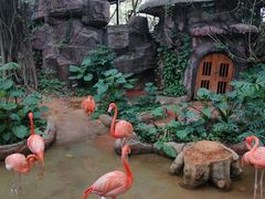 -长鹿旅游休博园