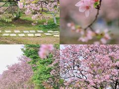 -金成潮菜博物馆(海珠湿地店)