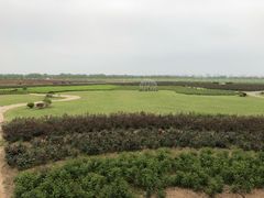 -漩门湾国家湿地公园