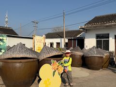 -苏州市吴中区光福窑上花果蜜饯厂