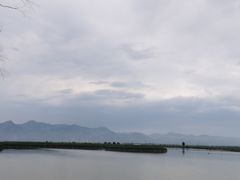 -哈素海