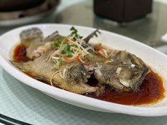 清蒸老虎斑-双井轩(双井店)