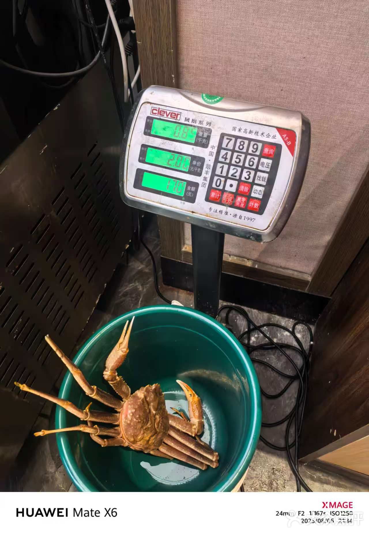 青岛你也太好吃啦