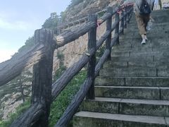 -大芦花风景区