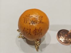 -春满园·邯郸菜发祥地(滏东店)