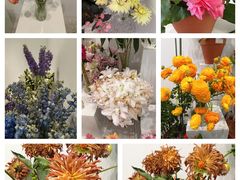 -上海植物园-4号门售票处