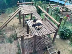 -大连森林动物园