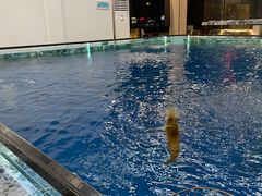 -SHRIMP CLUB万东餐饮钓虾·清吧