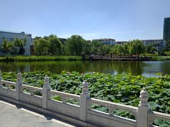 -西海子公园