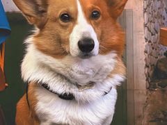 -三圣花乡旅游区