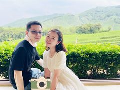 -白茶原·一片叶子