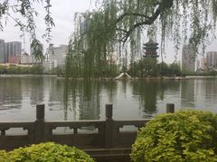 -迎泽公园