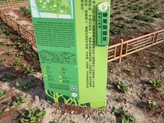 -柳鹭田园区