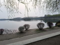 -丁香湖公园