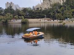 -南山公园