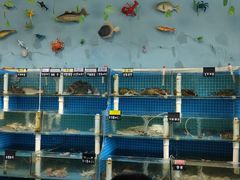 -李哥海鲜烧烤家常菜(孔雀城店)