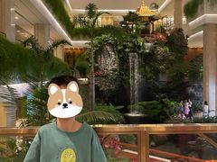 -广州白天鹅宾馆