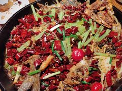 -老板恋上鱼(高新万达店)