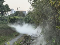 -张坝桂圆林公园