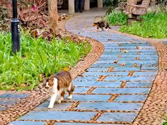 -广州体育学院体育馆-南馆