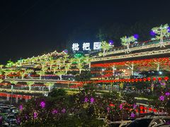 -枇杷园食为鲜火锅(南山店)
