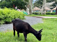 -东南花都花博园