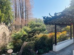 -上海醉白池公园
