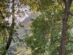 -叠彩山景区