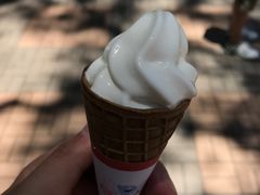 -富豪雪糕车流动点(尖沙咀店)