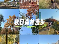 -艾溪湖湿地公园