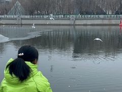 -海河游船-永乐码头(大悲院)