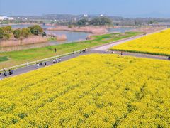 -苏州太湖国家湿地公园