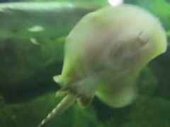 -苏州海洋馆