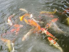 -柳侯公园