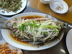 -微山岛春天里酒家