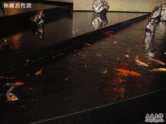 大堂里面的池子-上海静安洲际酒店