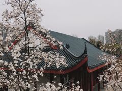 -堤角公园
