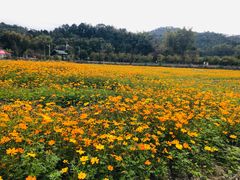 -红山村