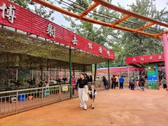 -西安市长乐公园