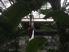 -龙达温泉生态城