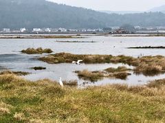 -腾冲北海湿地