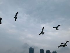 -星海广场