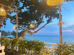 -卷心菜和避孕套餐厅(Pattaya)