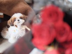 -22ºN BISTRO西餐&酒馆(石奥商业街店)