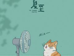 -皇城老妈·大连海鲜火锅(港湾店)