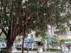 -雅枫国际酒店(深圳会展中心店)