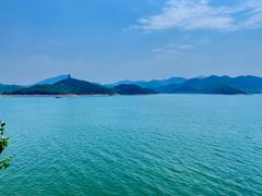 -望湖烤鱼