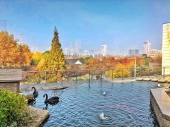 -南京圣和府邸豪华精选酒店