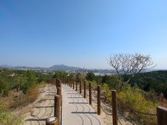 -白水寺森林公园